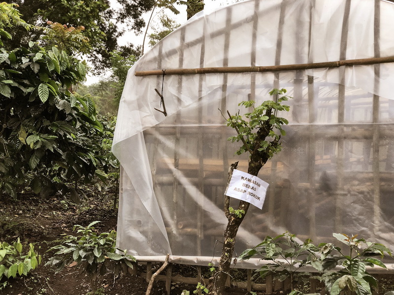 will_westjava_coffeefarm-14_resize will_westjava_coffeefarm-14_resize