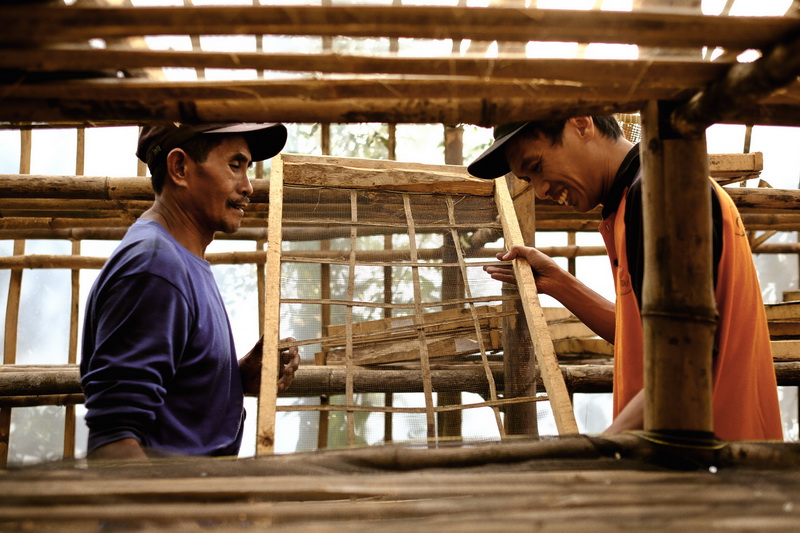will_westjava_coffeefarm-17_resize will_westjava_coffeefarm-17_resize