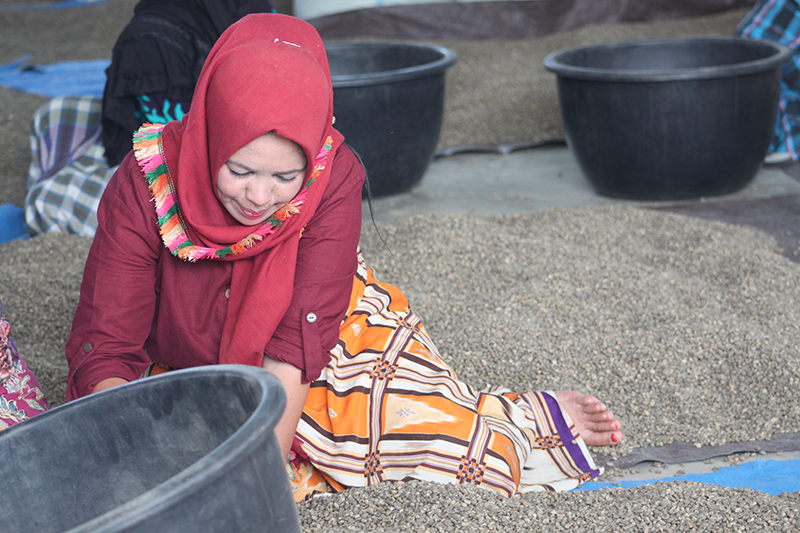 Gayo adalah Putri Gayo adalah Putri